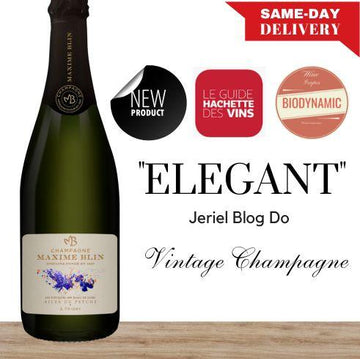 Maxime Blin Ailes de Psyche Millesime Champagne Blanc (Organic) - Champagne, France