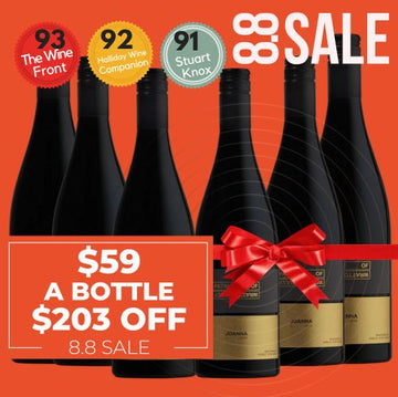 Patrick of Coonawarra Joanna Shiraz 2017 ~ Coonawarra ~ South Australia - 6 Pack Value
