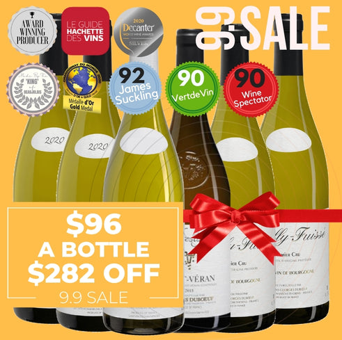 Best of Burgundy – 6 Bottle Collection