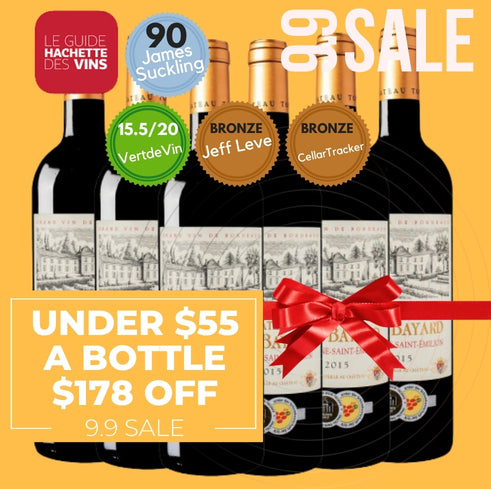 Chateau Tour Bayard Montagne Saint Emilion 2021 - Bordeaux, France 6 Pack Value