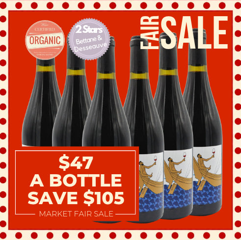 Domaine Duseigneur Odyssée Villages 2021 - France 6 Pack Value