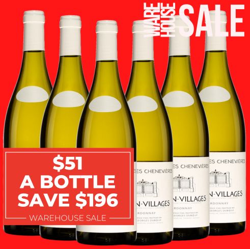 Domaine Les Chènevières Macon-Villages Chardonnay 2022 -  Burgundy, France 6 Pack Value