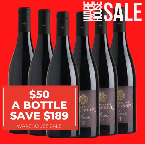 Domaine Duseigneur "Antarès" Lirac Rouge 2020 - Rhone, France 6 Pack Value