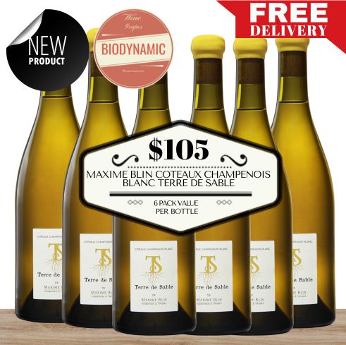Maxime Blin Coteaux Champenois Blanc Terre de Sable - Champagne, France 6 Pack Value