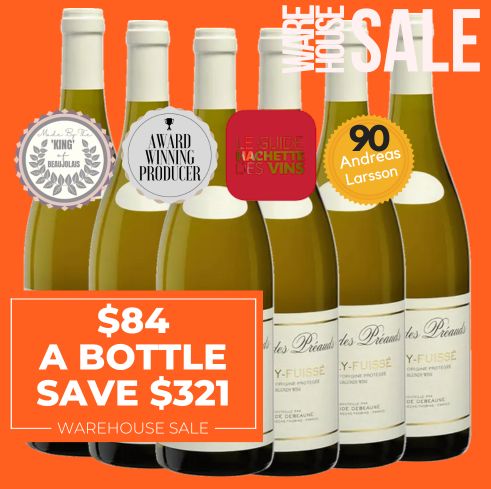 Domaine des Preauds 2021 Pouilly Fuisse - Burgundy, France 6 Pack Value
