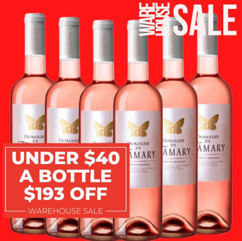 Salin Domaine de Tamary ~ Cotes de Provence Rosé 2022 ~ Provence, France - 6 Pack Value
