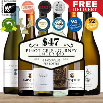 Pinot Gris Journey Under $50 - 6 Pack Value