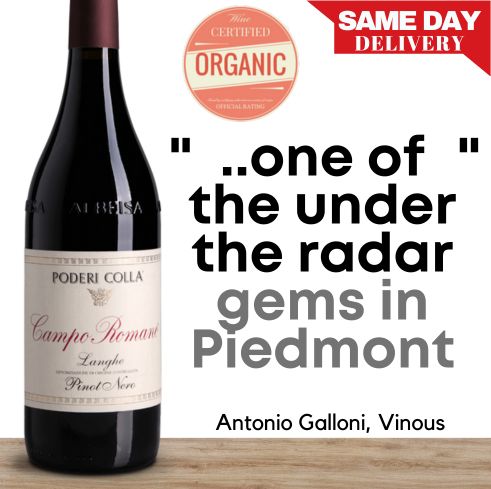 Poderi Colla Langhe Campo Romano Pinot Nero (Organic) 2020 - Barbaresco, Italy
