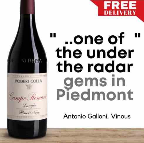 Poderi Colla Langhe Campo Romano Pinot Nero 2020 - Barbaresco, Italy