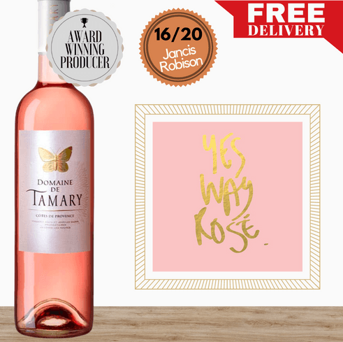 Salin Domaine de Tamary ~ Cotes de Provence Rosé ~ Provence, France
